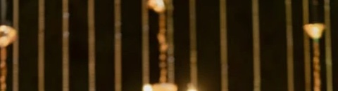 Warm chandelier lights