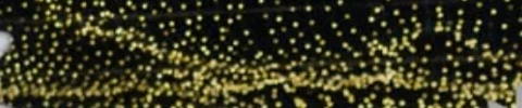 Canopy of warm fairy lights